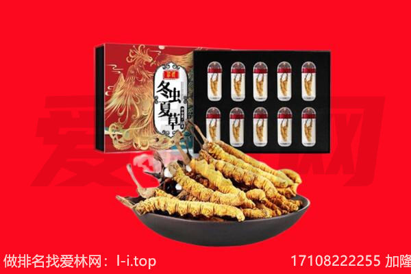 济宁市邹城回收虫草.jpg